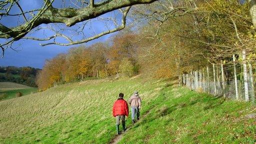 A field in the UK