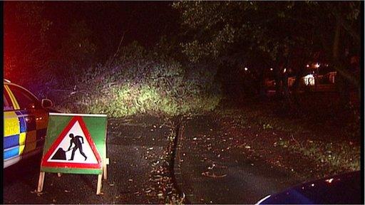 The strong winds brought down trees in Newry