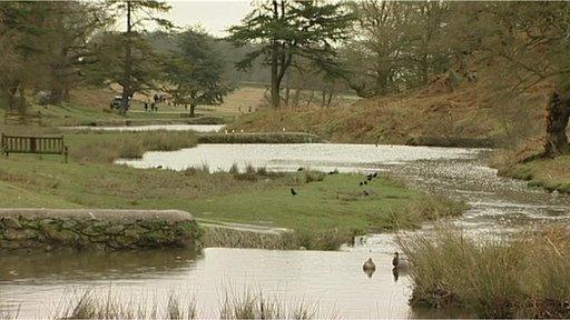 Bradgate Park