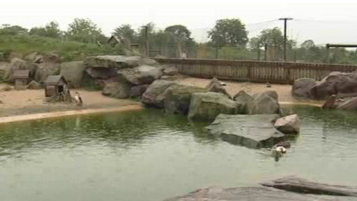 Blackbrook Zoological Park