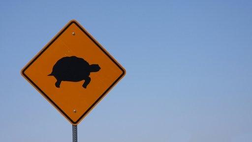 Turtle sign