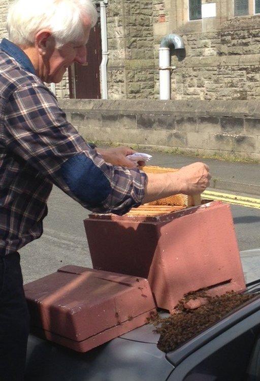 Phelim Breen placing the swarm into a box