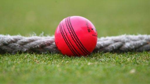 A pink cricket ball like the one that could be used for day-night Tests