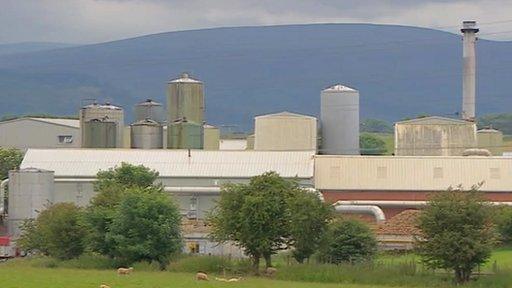 Wildriggs animal rendering plant