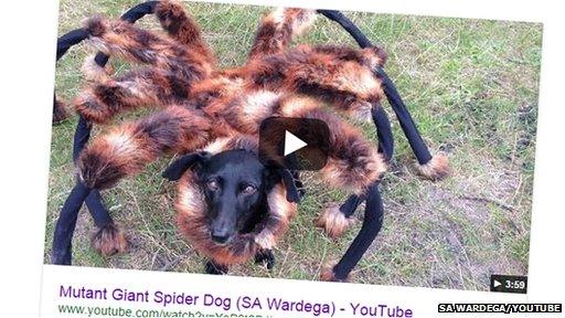 Mutant Giant Spider Dog