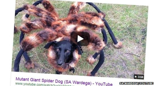 Giant Mutant Spider Dog