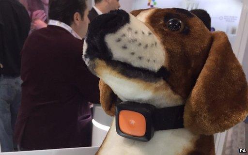 Toy dog with smart collar