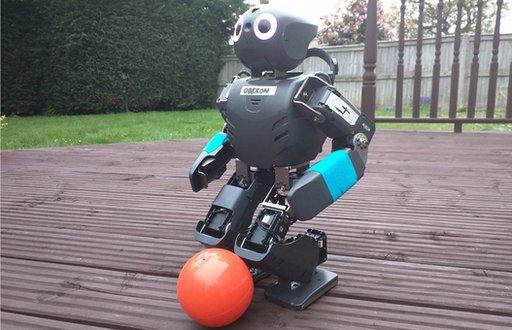 Football playing robot