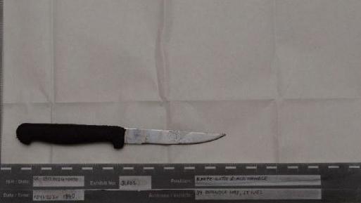 A black and white image of a knife on a white background. There are blurry measurements and words beneath the knife in the picture
