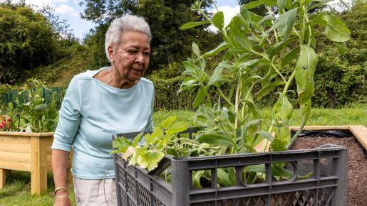 A woman with white hair and a pale blue top is standing in front of a black box. The box contains various green plants. Behind her is green grass and hedges, and wooden planters with plants inside.