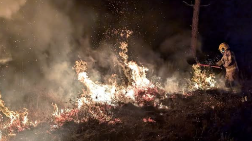 Image of wildfires being put out by a firefighter using a beater.