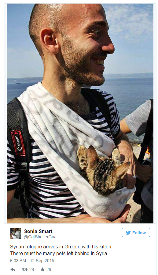 Syrian refugee with cat