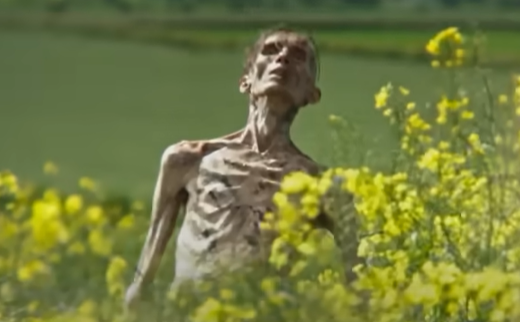 A mummified figure lurches into the foreground of a field filled with yellow flowers