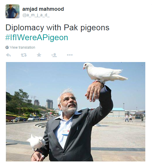 The Indian Prime Minister Narendra Modi is pictured in this pigeon meme