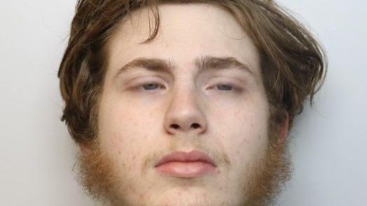 Tyler O'Keeffe's custody mugshot where he is looking to the side. He has a light ginger curly beard and hair of the same colour parted on one side of his head

