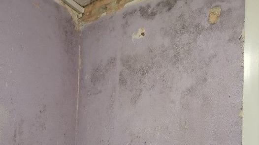 Mouldy walls