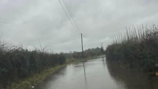 A flooded country road is flanked by hedgerows.