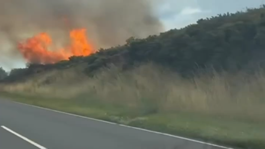 Bright orange flames billow out of greenery at the side of a road, with thick grey smoke above them.
