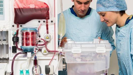 An organ in a white plastic box hooked up to a machine, with blood filtering through it.