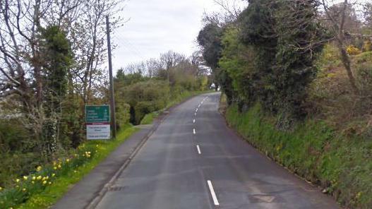 A stretch of the A2 in Maughold that has trees and grass with daffodils on the left and a grassed embankment with ivy cover trees on it on the right,