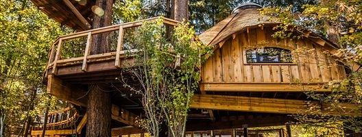 Treehouse