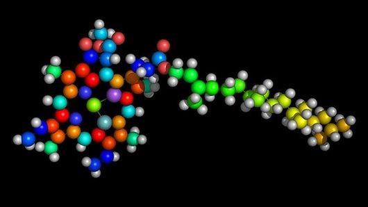 Chlorophyll molecule