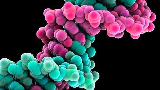 DNA representation