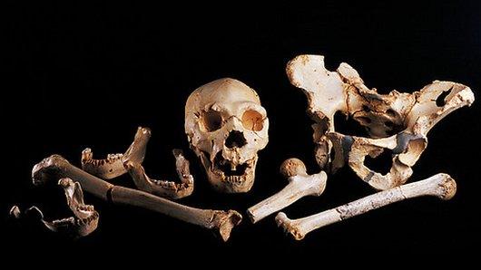 Sima de los Huesos remains
