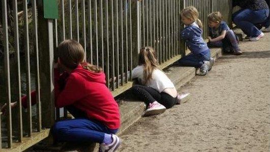 World Pooh Sticks Championships 2014