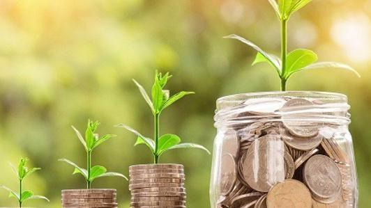 Four plants in a row. Two appeal to be growing out of stacks of coins. One appears to be growing out of a glass jar filled with coins