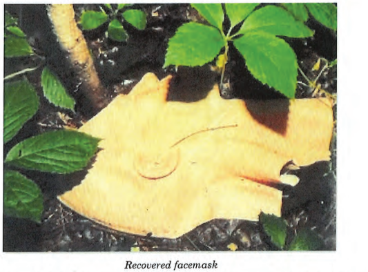 Facemask on ground with leaves surrounding