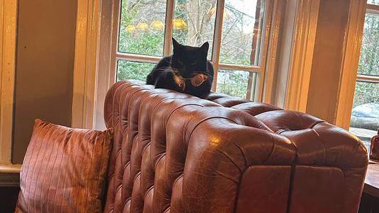 A black cat sitting on top of a pub booth which is cushioned with brown leather.