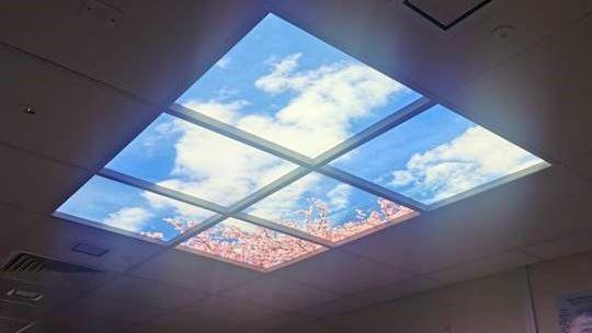 View of a blue sky and fluffy cloud from a panel fixed to the interior ceiling of a ward.