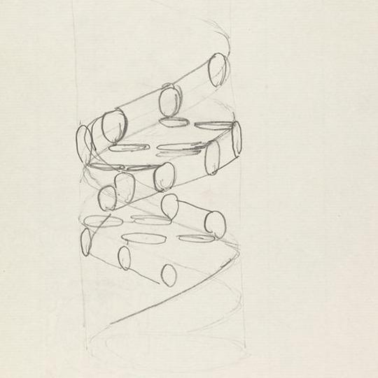 Francis Crick's sketch of the double helix structure