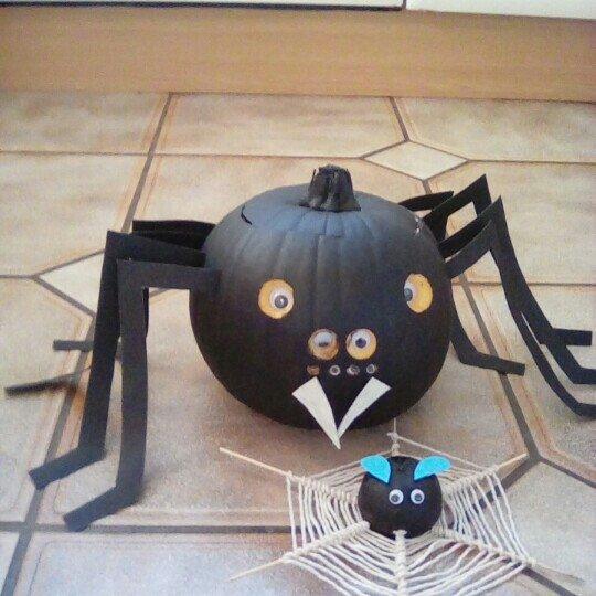 Spider pumpkin