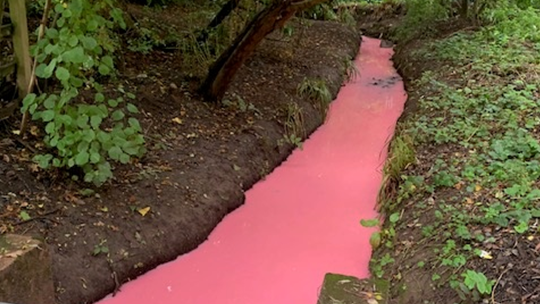 The contaminated pink stream