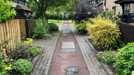 A pathway flanked by plants and flowers