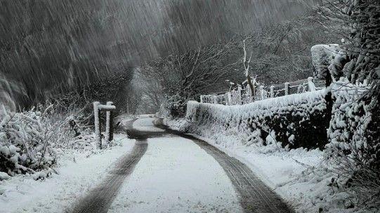 A snow-covered country lane with tyre tracks alongside a hedge.