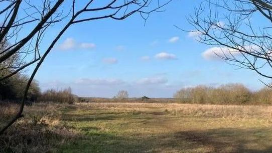 A large open field lying beneath a blue sky with a few clouds. There are trees in the foreground of the picture, both of which do not have any leaves. There are plenty of other trees running down the left and right sides of the field, which is covered in grass.