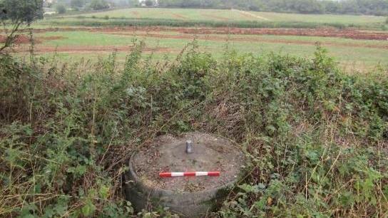 A concrete object in bushes