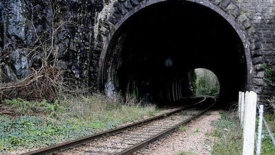 This is an image of the Portishead line. A railway track leads towards a dark stonework tunnel. There is overgrown vegetation on the left-hand side. There is a white fence on the right-hand side.