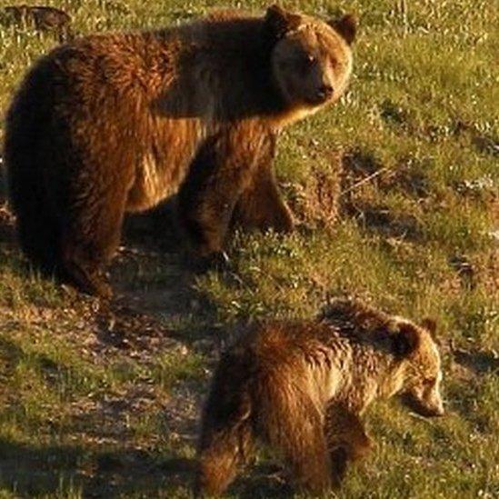 There's an emerging generation of "bear children" (children who lack discipline) in China