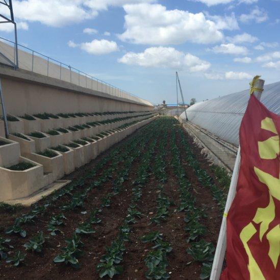 North Korean farm (May 2016)