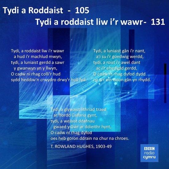 Tydi a Roddais