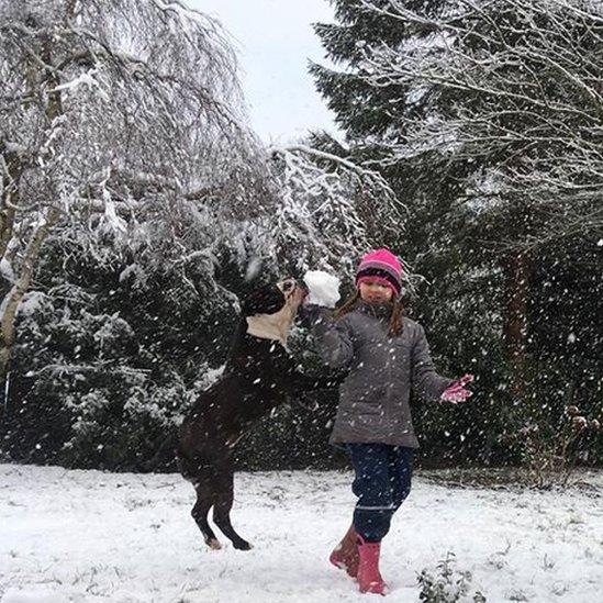 Child plays in snow with dog