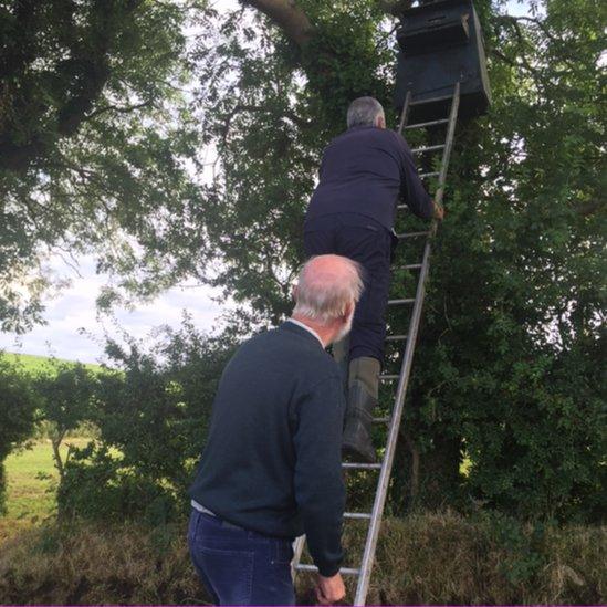 Michael Calvert at nest box on his farm