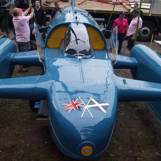 bluebird at Bute