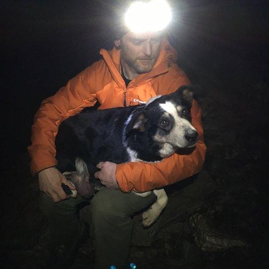 Rescued collie