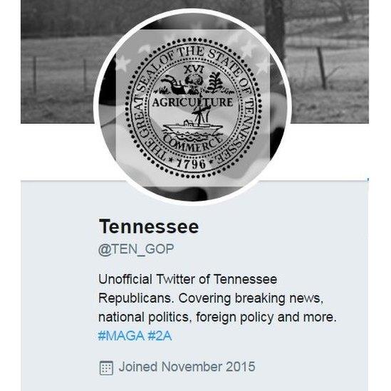 Screen grab of @TEN_GOP's twitter account