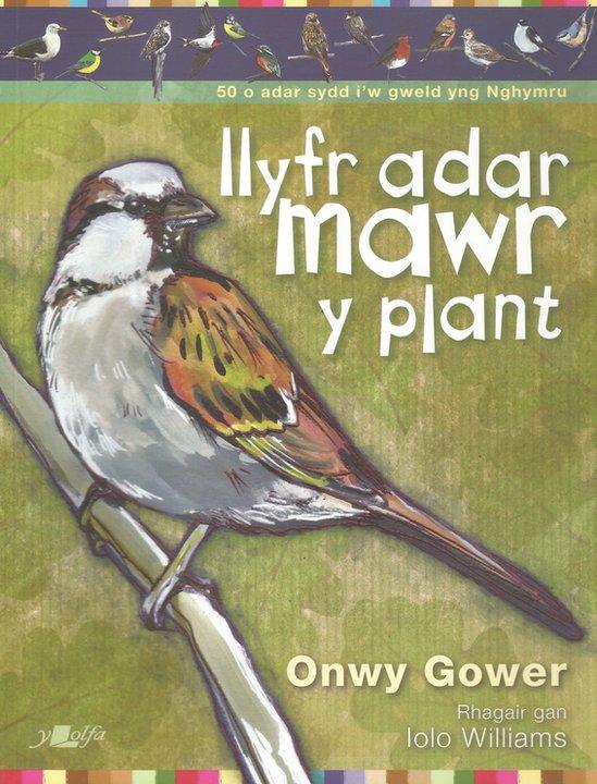 Llyfr Adar Mawr y Plant